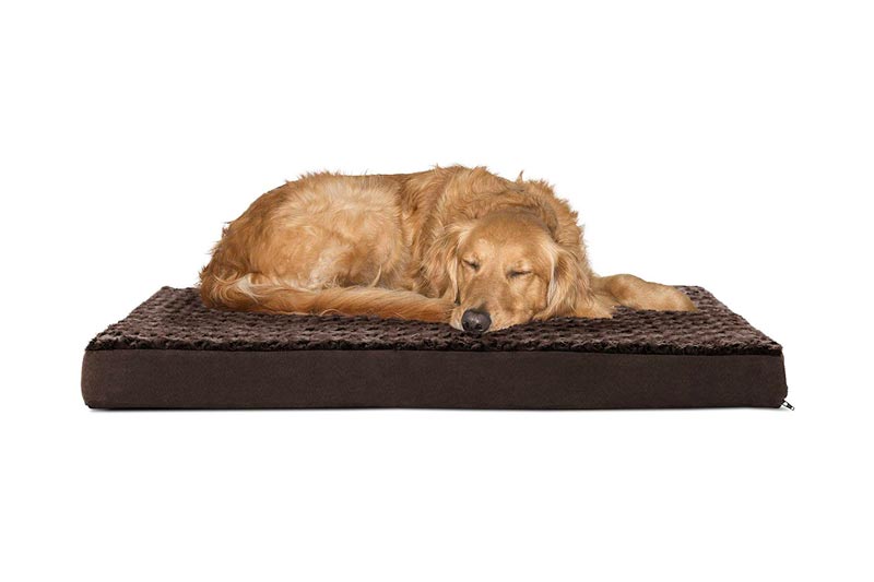 Furhaven Pet Dog Bed | Deluxe Orthopedic Mattress Pet Bed for Dogs & Cats Styles