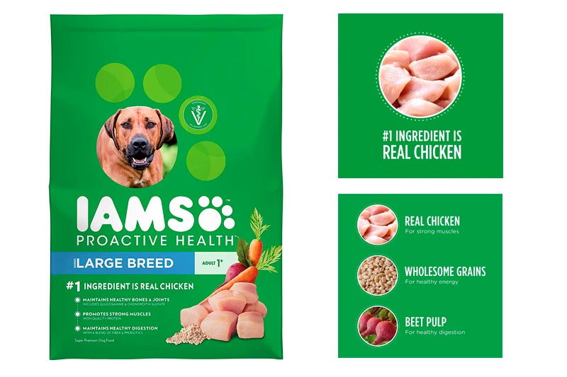 Iams PROACTIVE HEALTH Large Breed Adult Dry Dog Food - Chicken