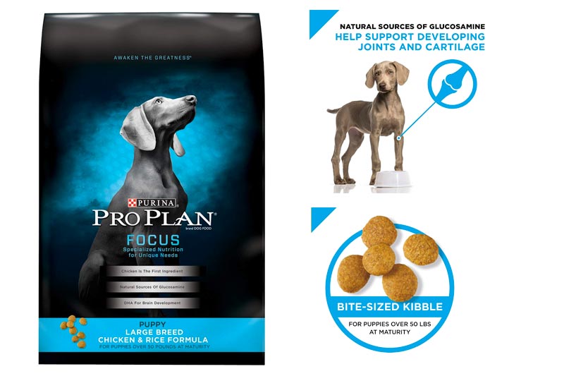 Purina Pro Plan Focus Dry Puppy Food