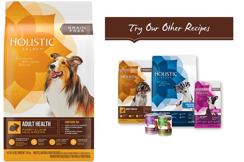 Holistic Select Natural Dry Dog Food